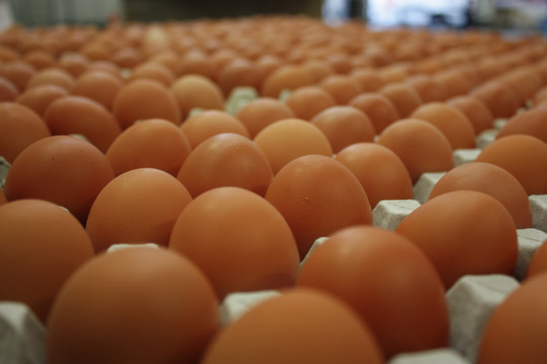 Join the messiest, most fun fundraiser.