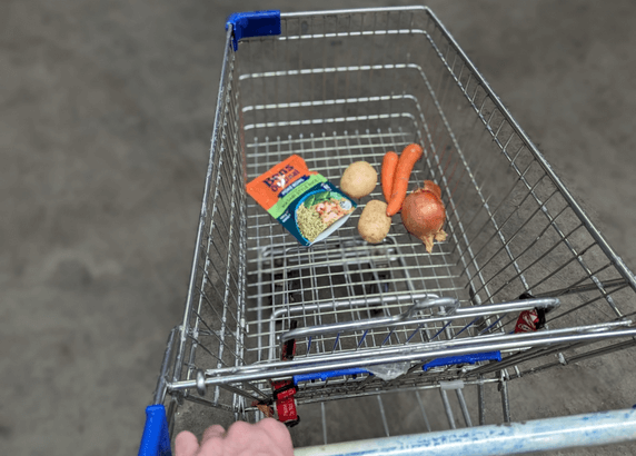 Tia’s Story | Could You Write a Grocery List for $26 a Fortnight?