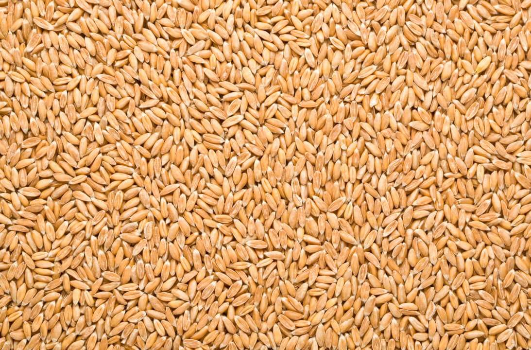 Western Australian farmers feeding hope